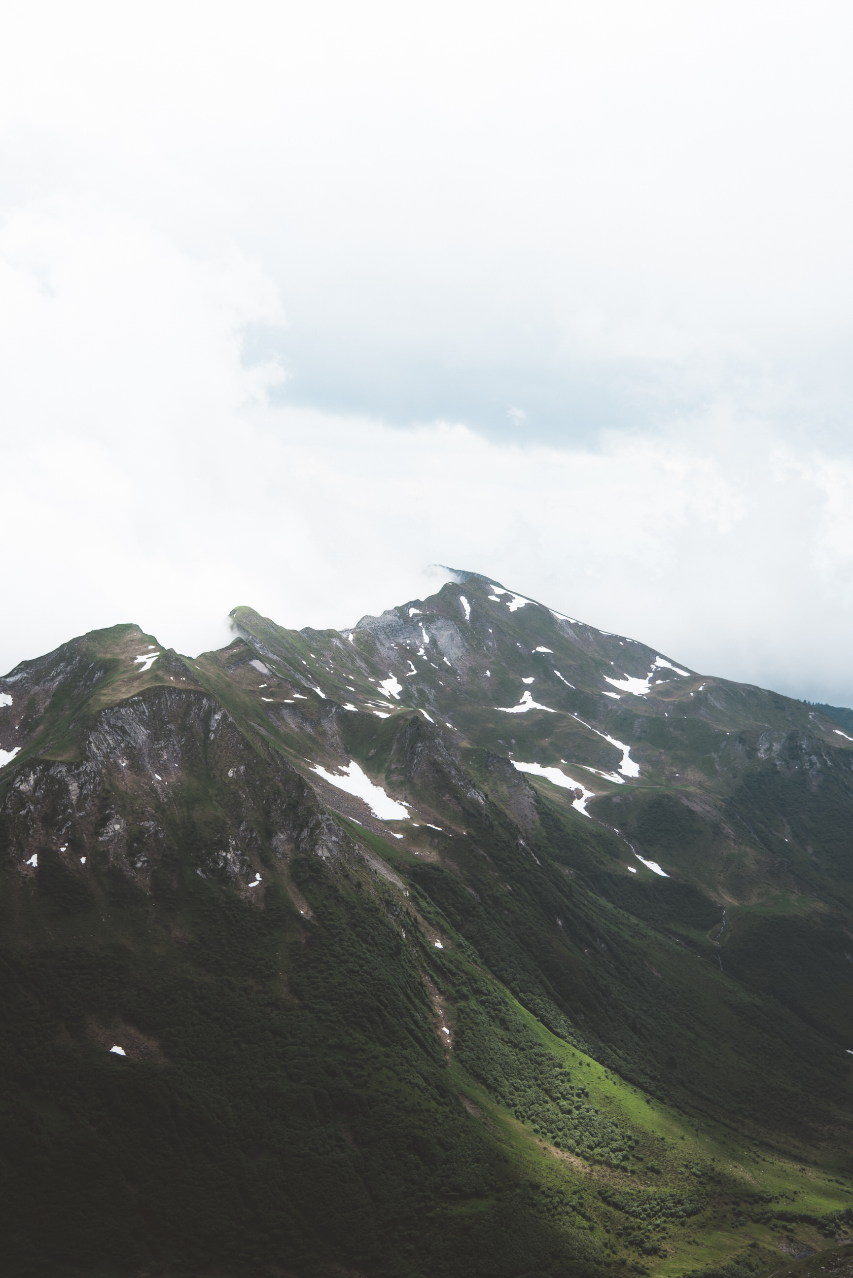 photo of summer hike